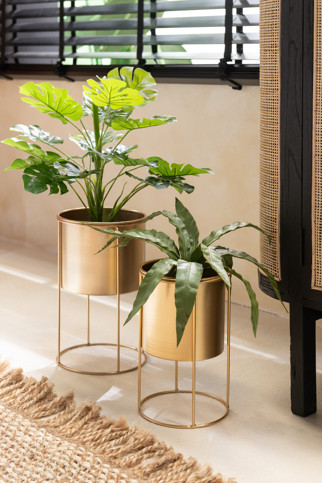 Slangplant Bal Grond Plastic Groen