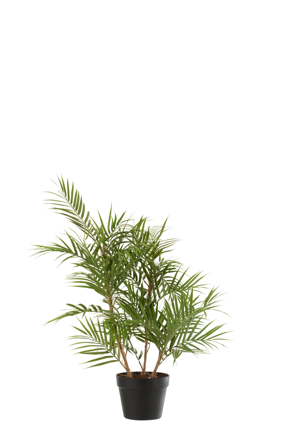 J-Line Bergpalm In Pot Plastiek Groen/Zwart Small