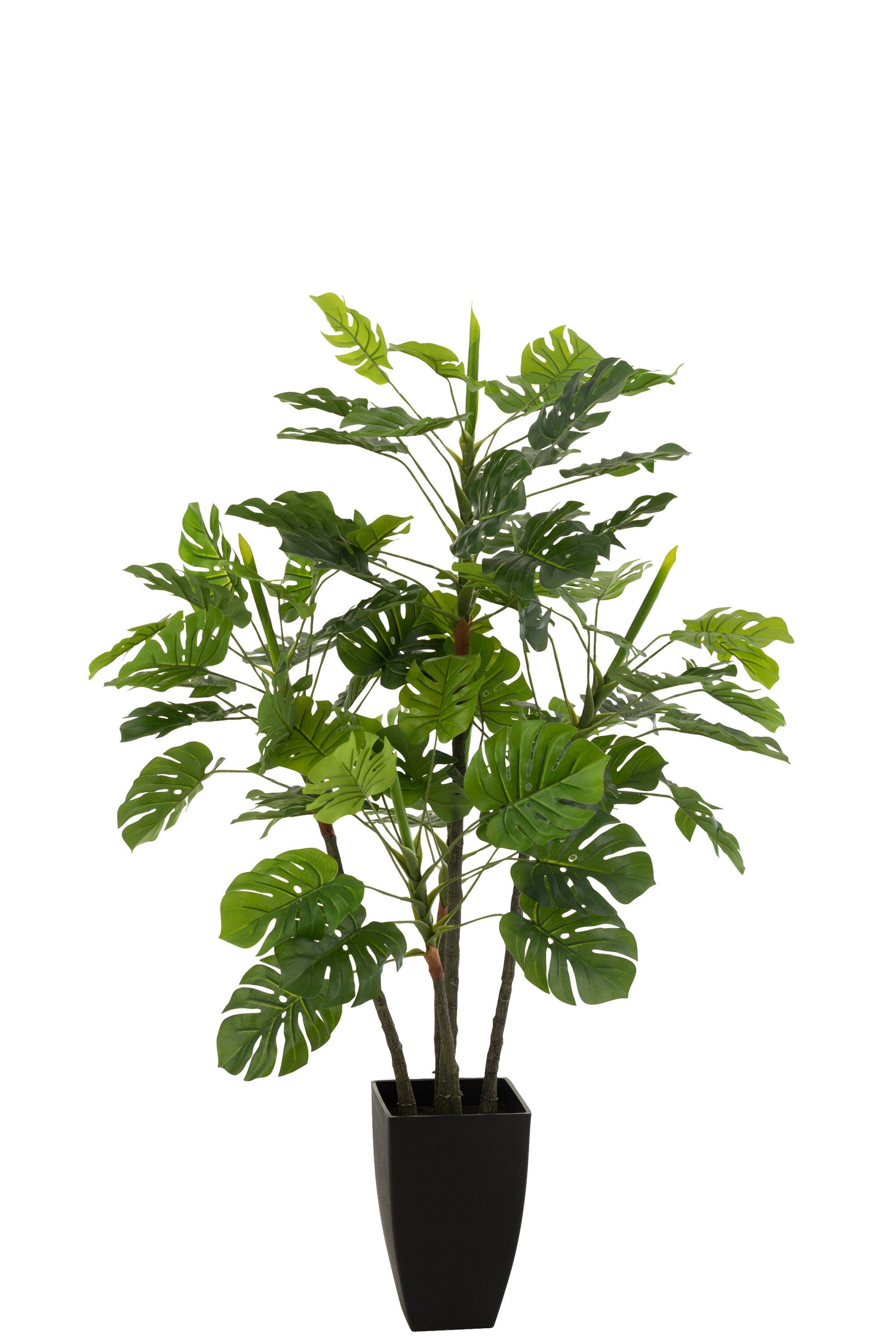 J-Line Philodendron In Pot Plastiek Groen Large