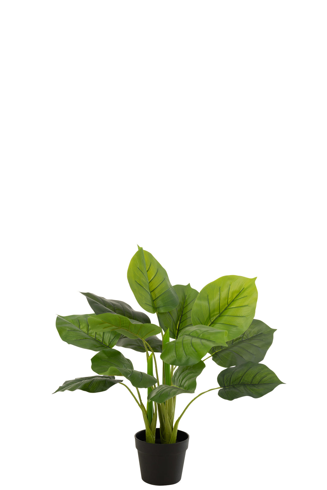 J-Line Pothos Plant In Pot Plastiek Groen