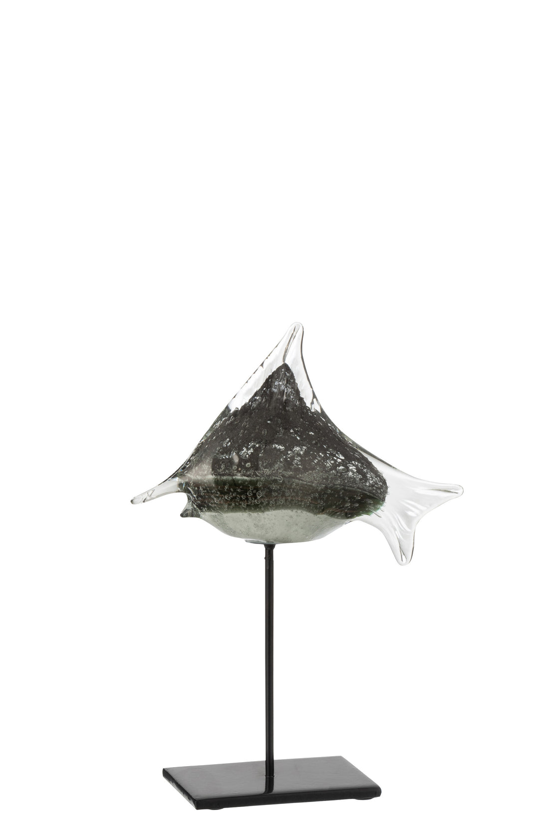 Vis Te Voet Glas/IJzer Grijs/Zwart Klein