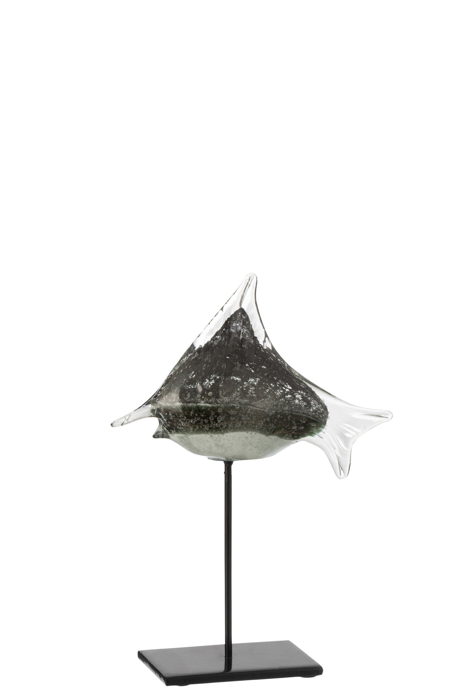 Vis Te Voet Glas/IJzer Grijs/Zwart Klein