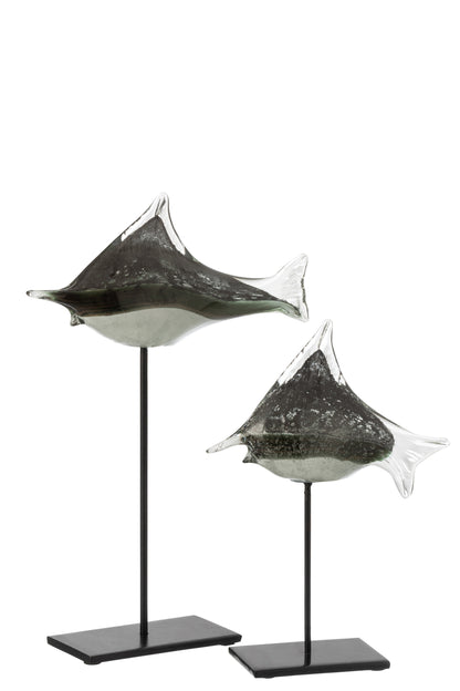 Vis Te Voet Glas/IJzer Grijs/Zwart Groot