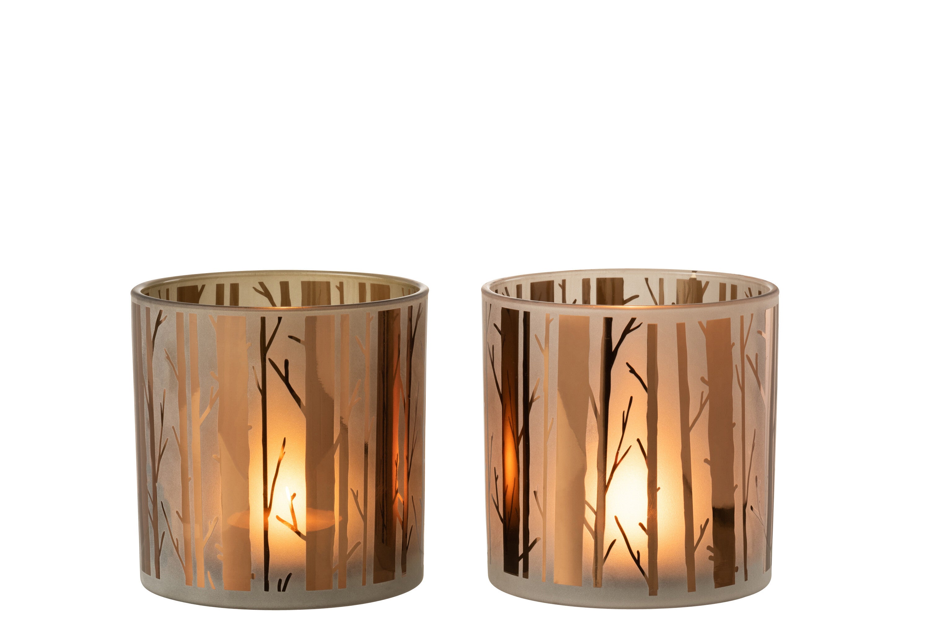 Orkaanboomglas Bruin Groot Assortiment Van 2