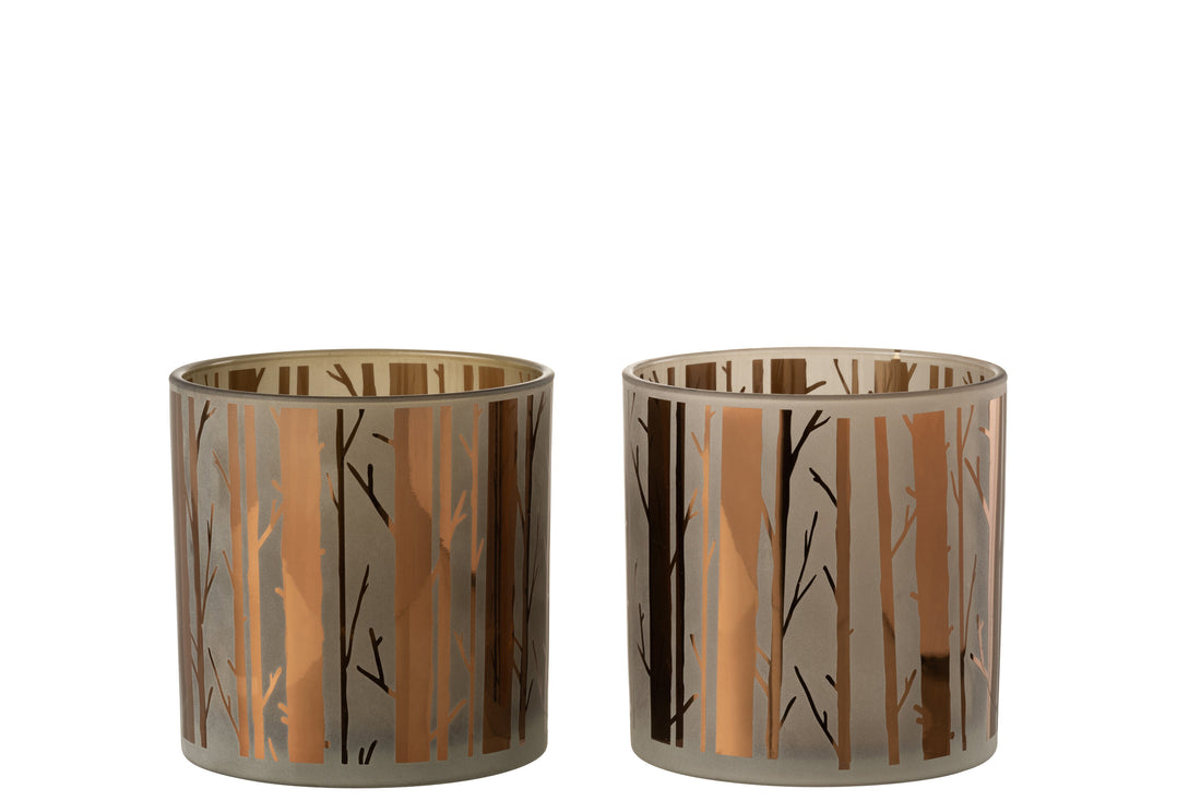 Orkaanboomglas Bruin Groot Assortiment Van 2