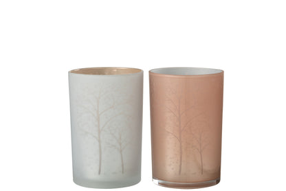 Orkaanboomglas Wit/Zalm Groot Assortiment Van 2