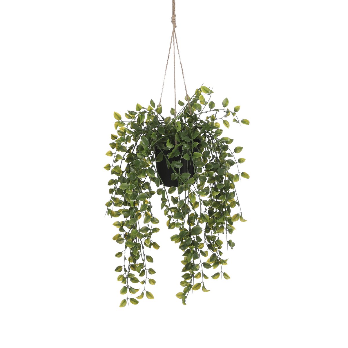 Ficus Kunst Hangplant in Pot - H46 x Ø20 cm - Groen