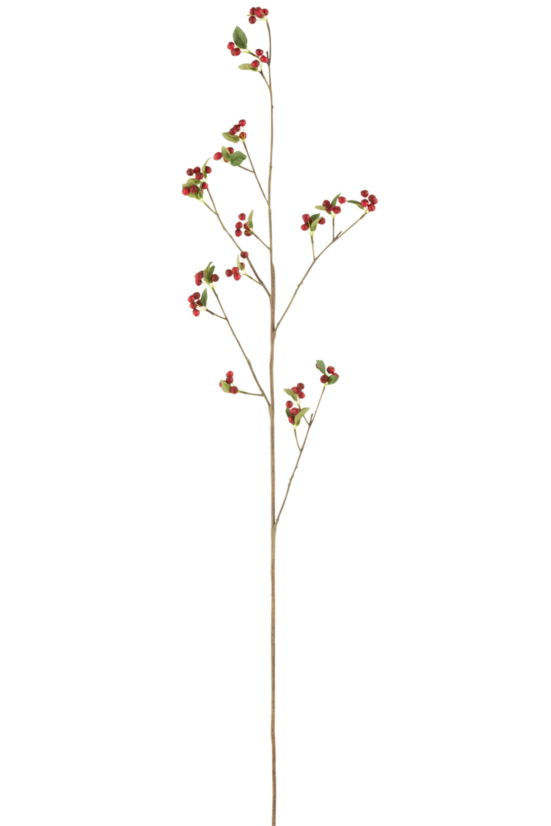 J-Line Tak Bessen Fijn Plastiek Rood/Groen Medium