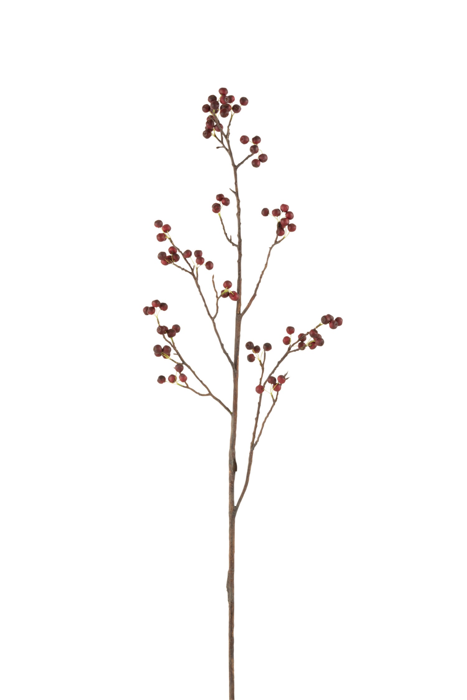 Tak Bessen Fijn Plastic Rood/Groen Groot