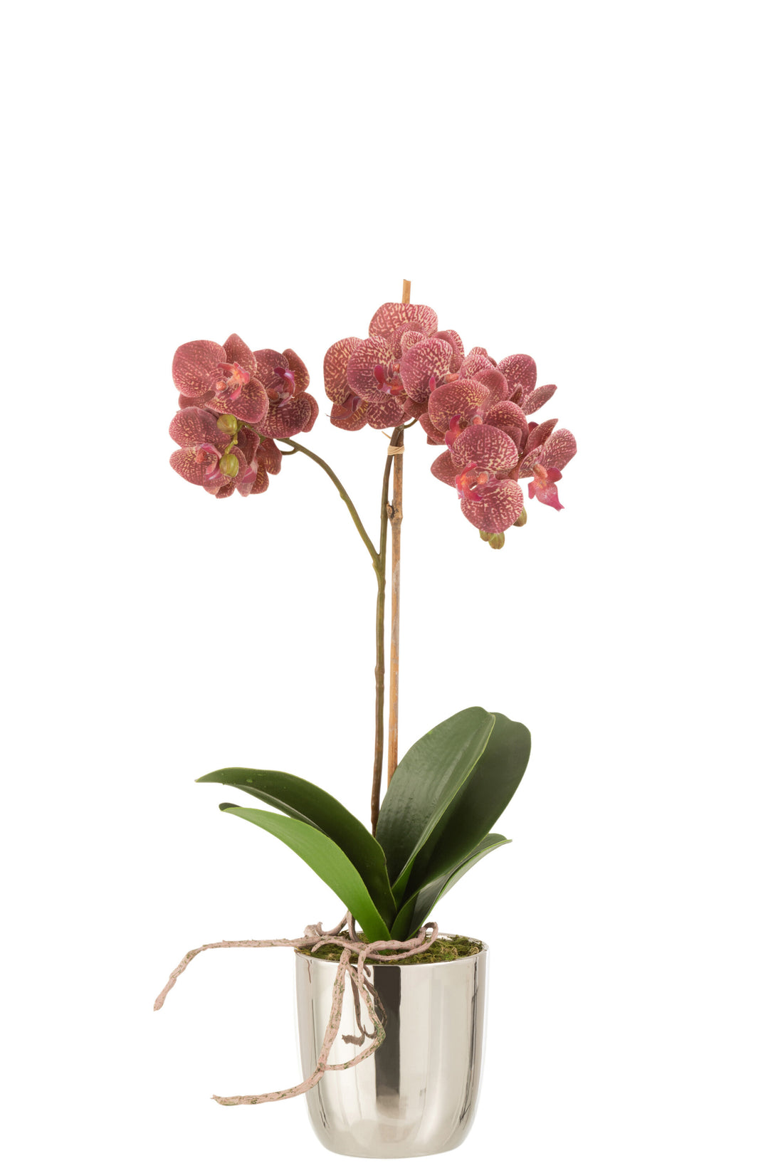 J-Line Orchidee In Pot Plastiek/Cement Donker Roze/Zilver