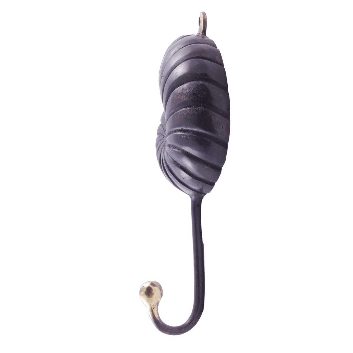 Brass Nautilus Hook (Set of 5)