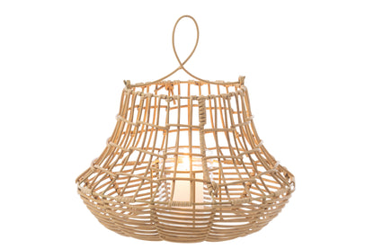 Orkaan Hangende Hoge Rotan Natuurlijk