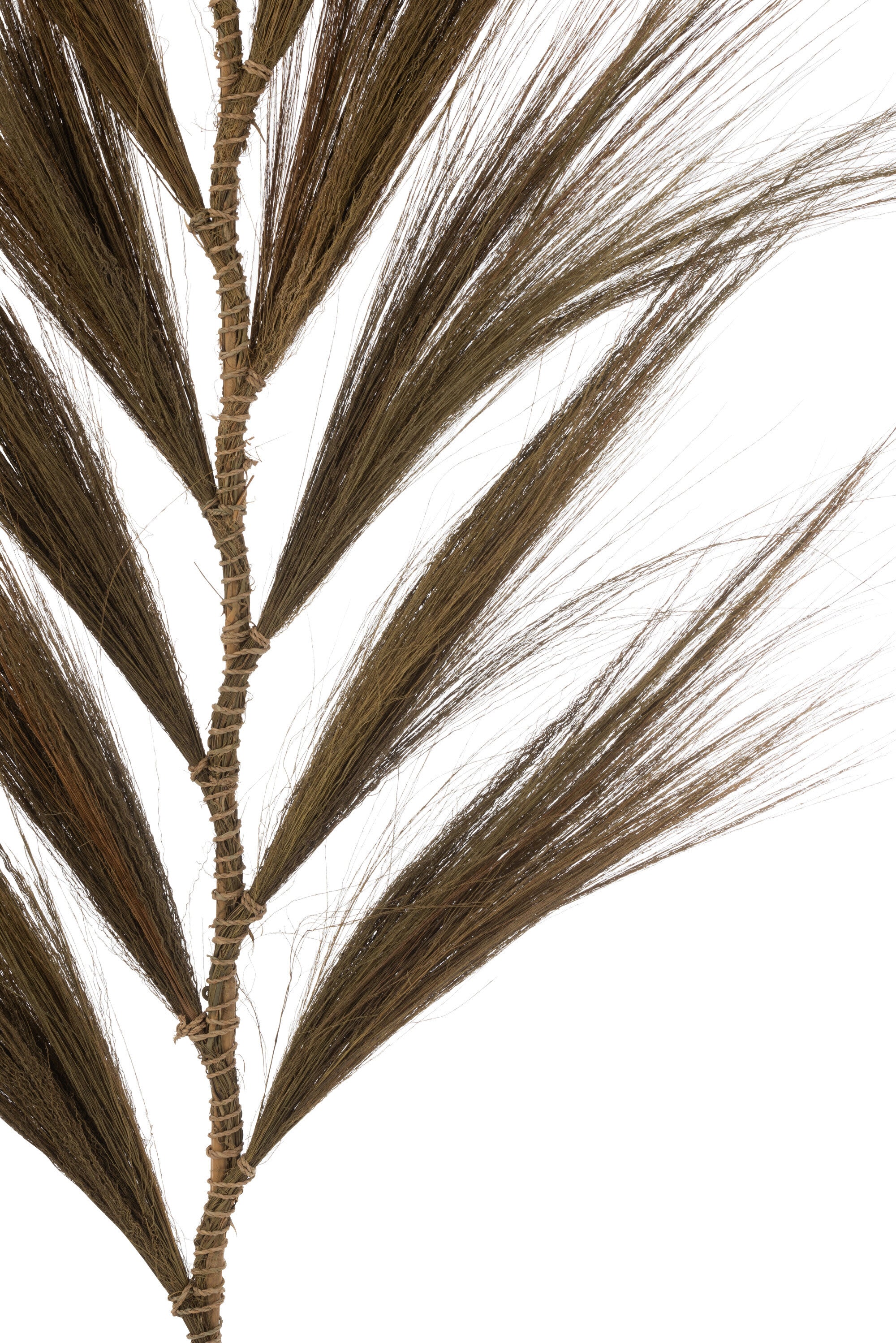 Takken Gras Bundel Donkerbruin