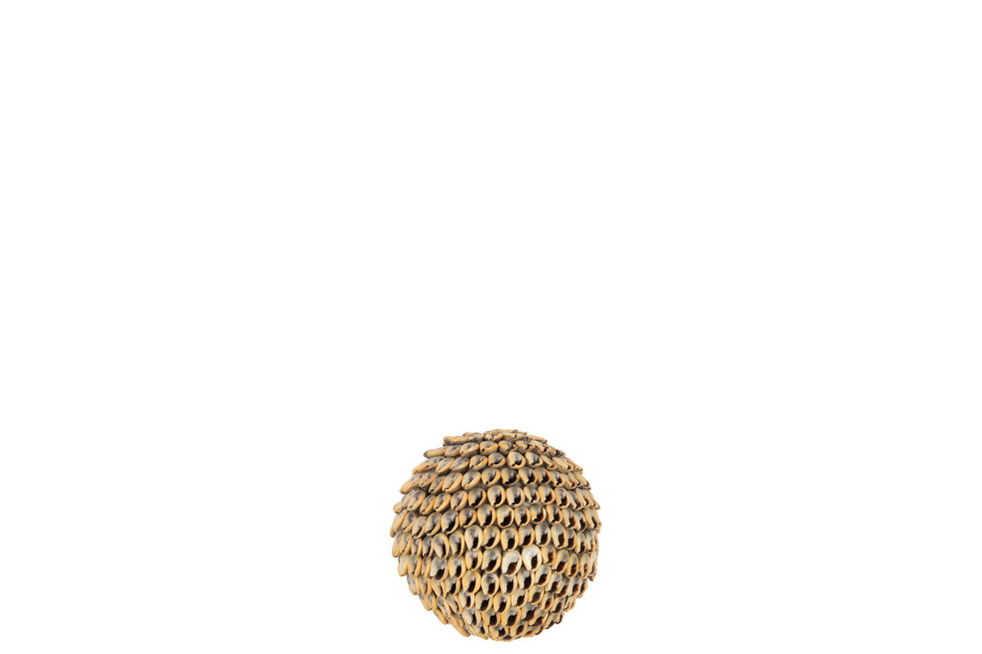 Bal Schelpen Bruin Klein