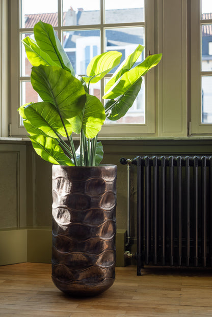 J-Line Taro Wild In Pot Plastic Groen Groot