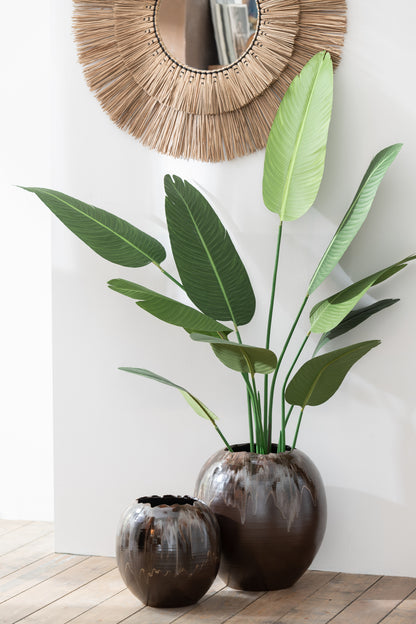 J-Line Strelitzia Plastiek Groen Small