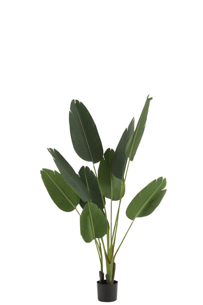 J-Line Strelitzia Plastiek Groen Small