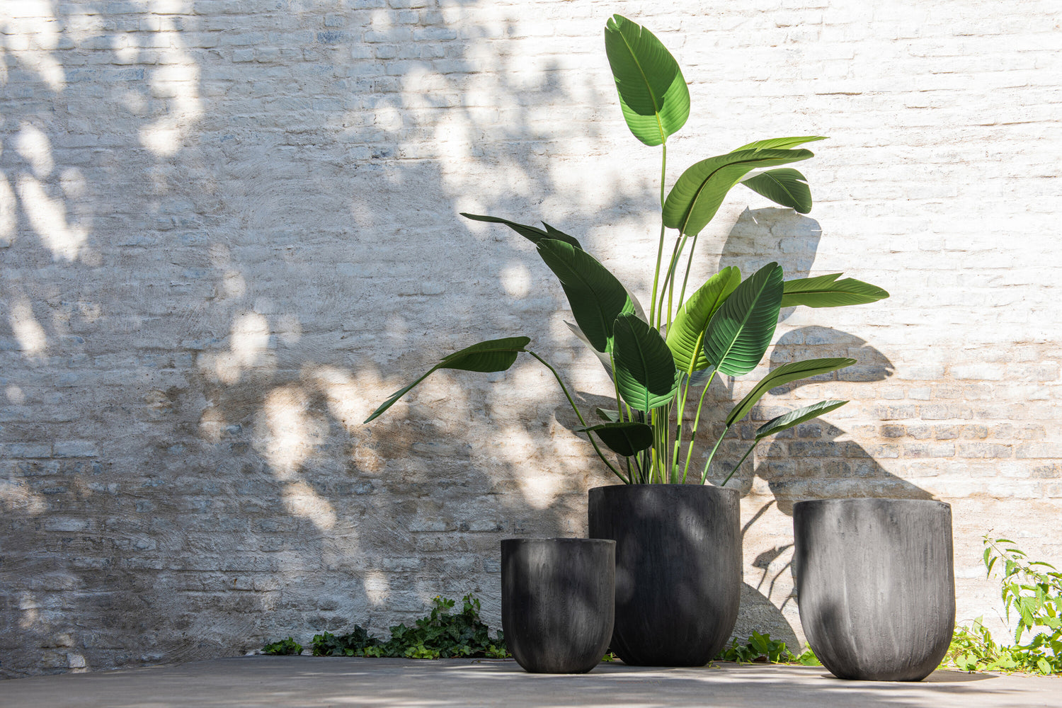 Strelitzia Plastic Groen Medium