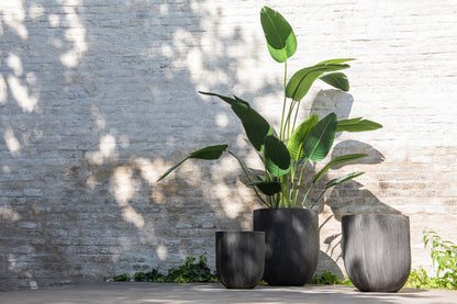 Strelitzia Plastic Groen Medium