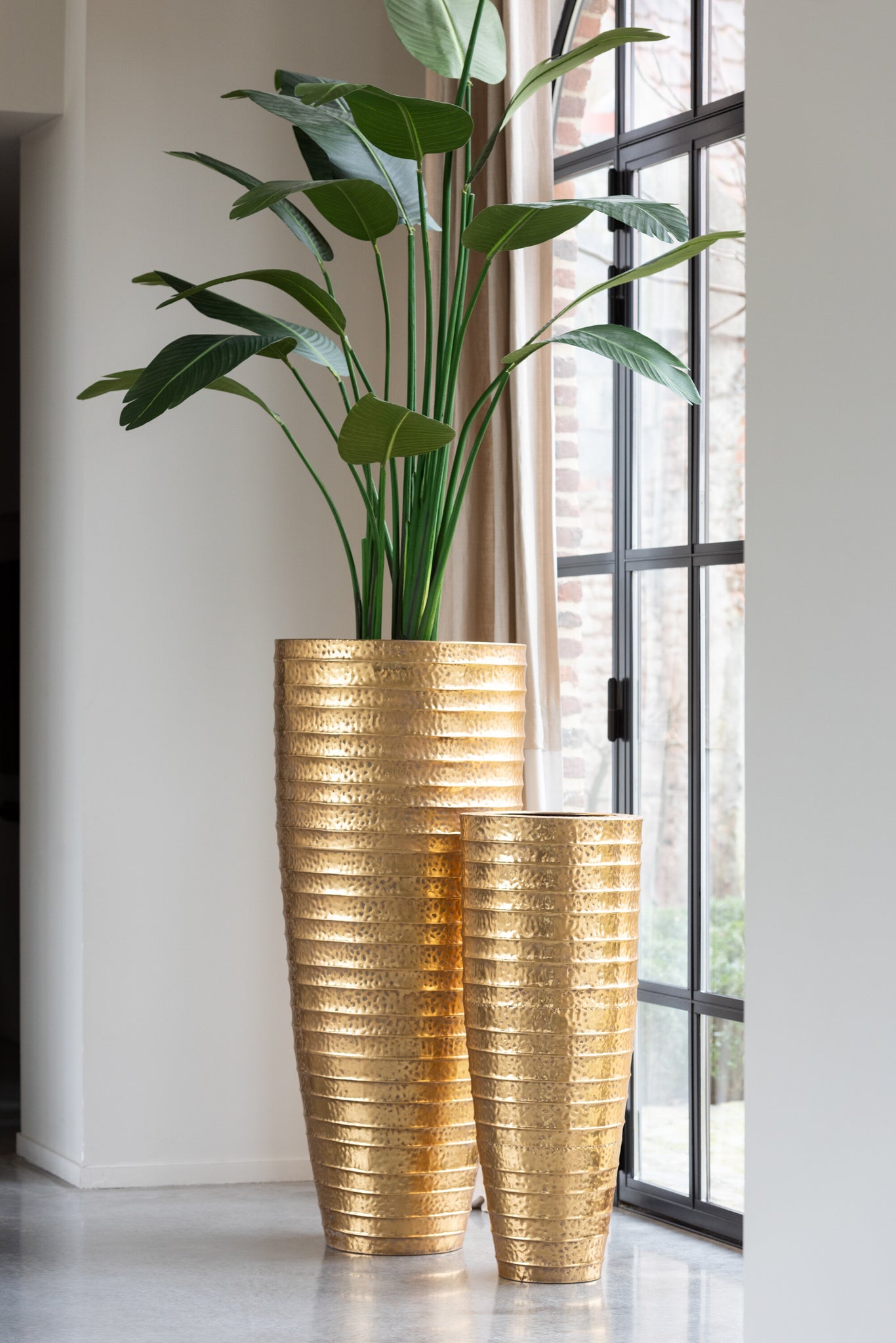Strelitzia Plastic Groen Medium