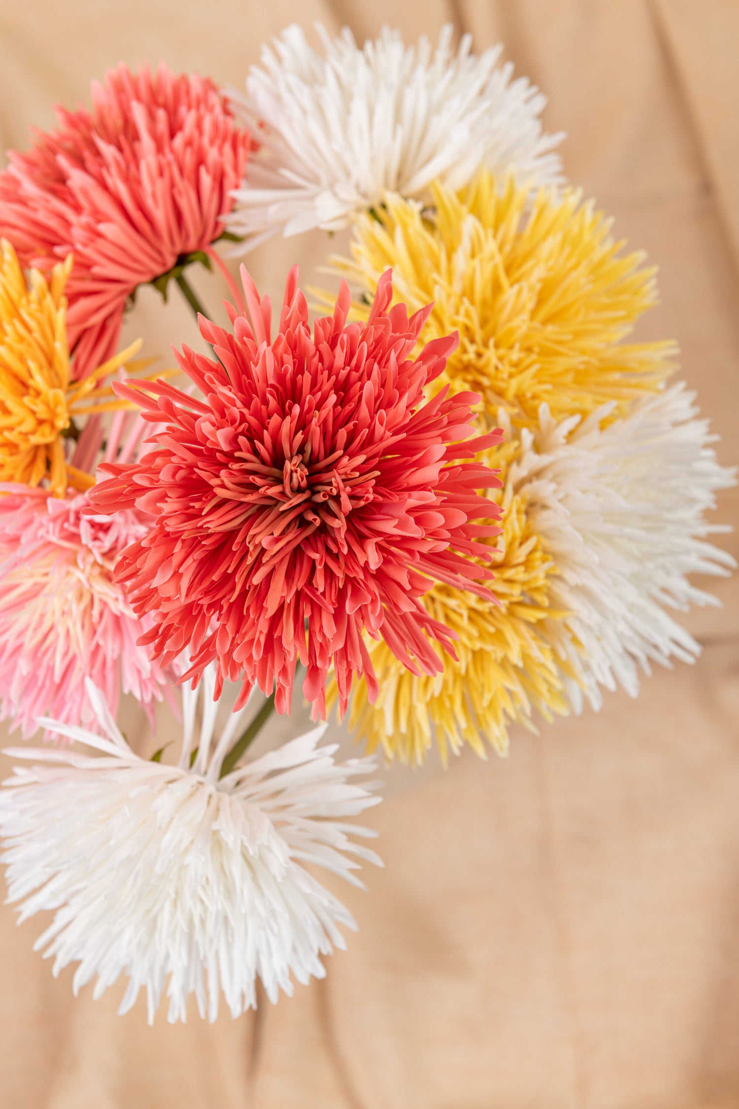 Chrysant Plastic Wit Geel Oranje Assortiment Van 3