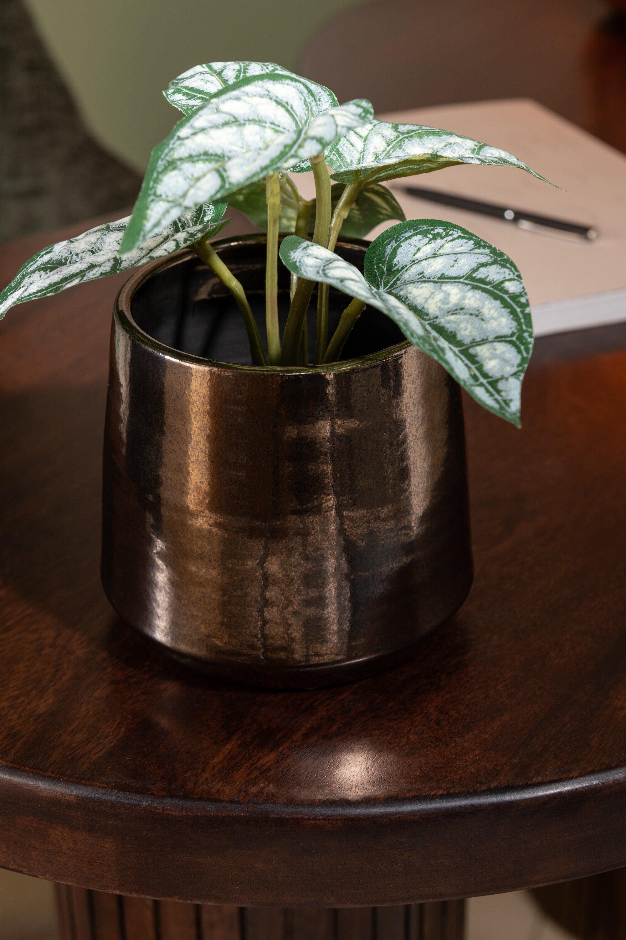Anthurium/Reuzentaro in Pot Plastic Groen Assortiment van 2