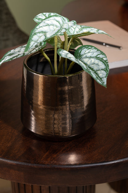 Anthurium/Reuzentaro in Pot Plastic Groen Assortiment van 2