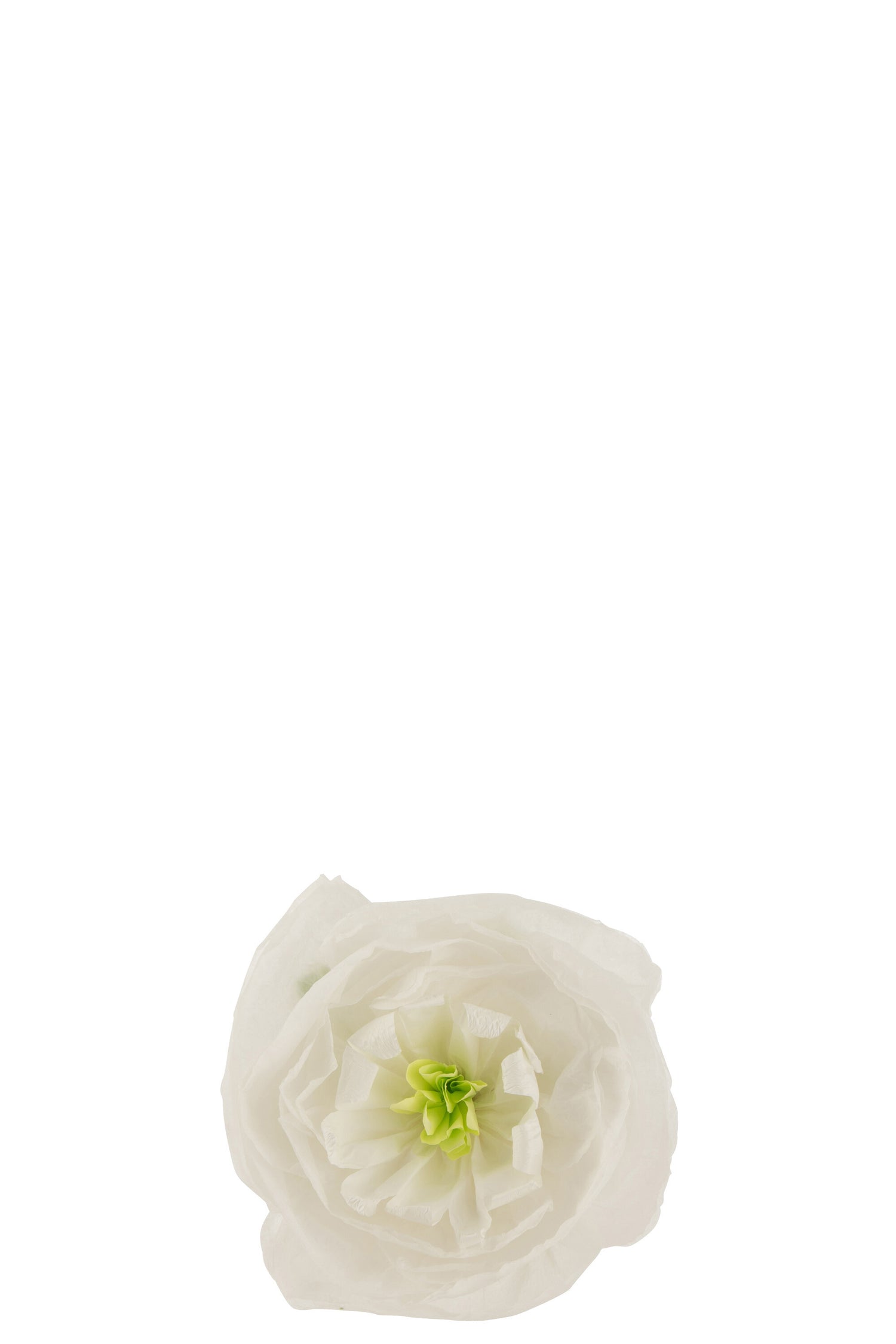 Bloemenpapier Wit Klein