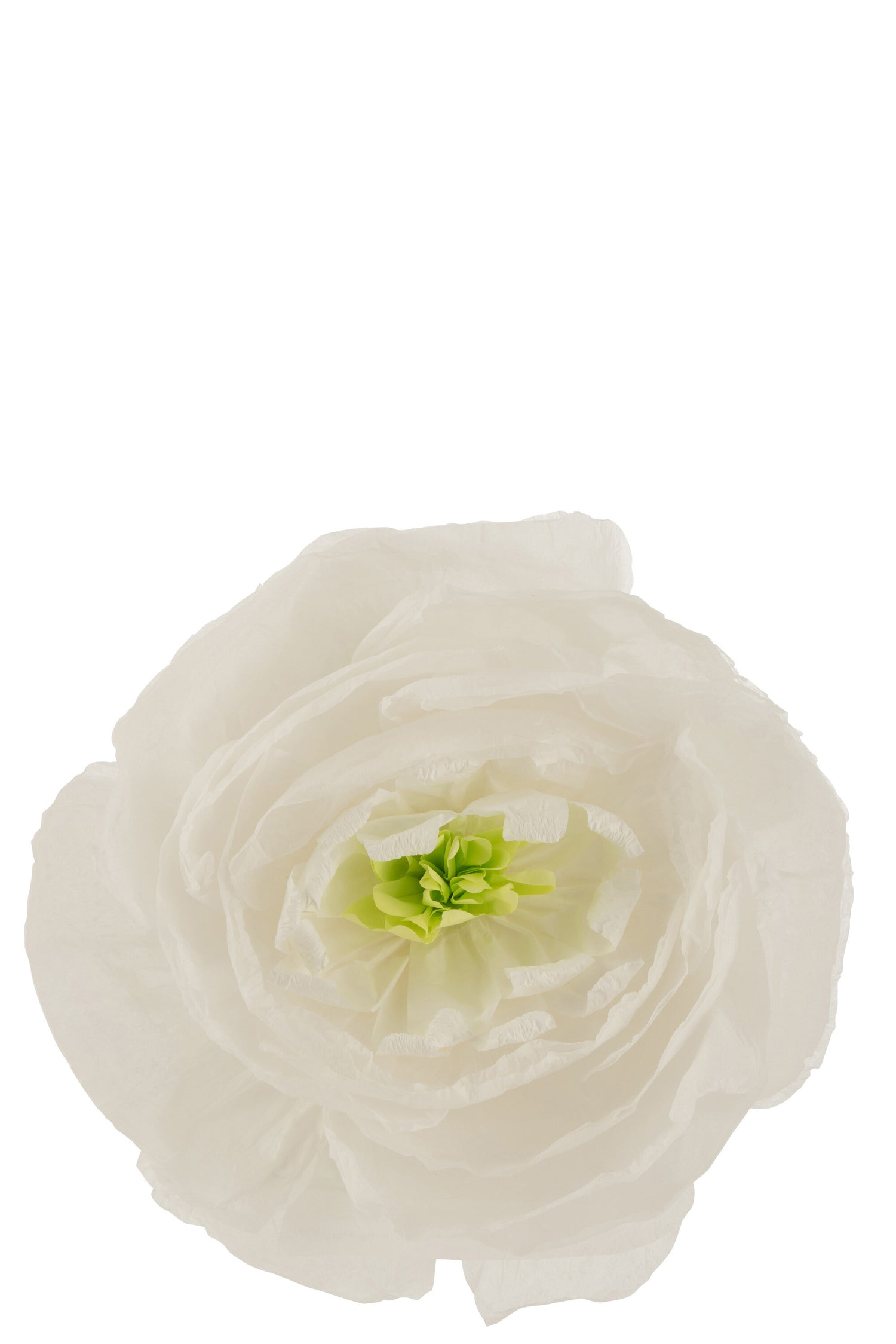 Bloemenpapier Wit Groot