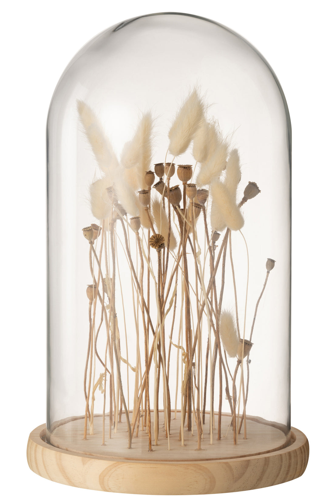 J-Line Stolp Droogbloemen Ecru/Bruin Glas Hout Groot