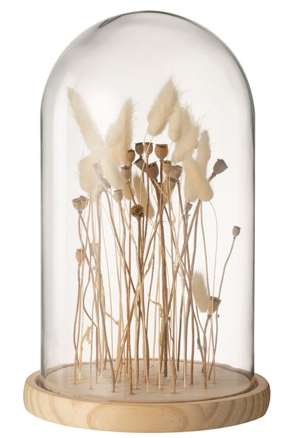 J-Line Stolp Droogbloemen Ecru/Bruin Glas Hout Groot