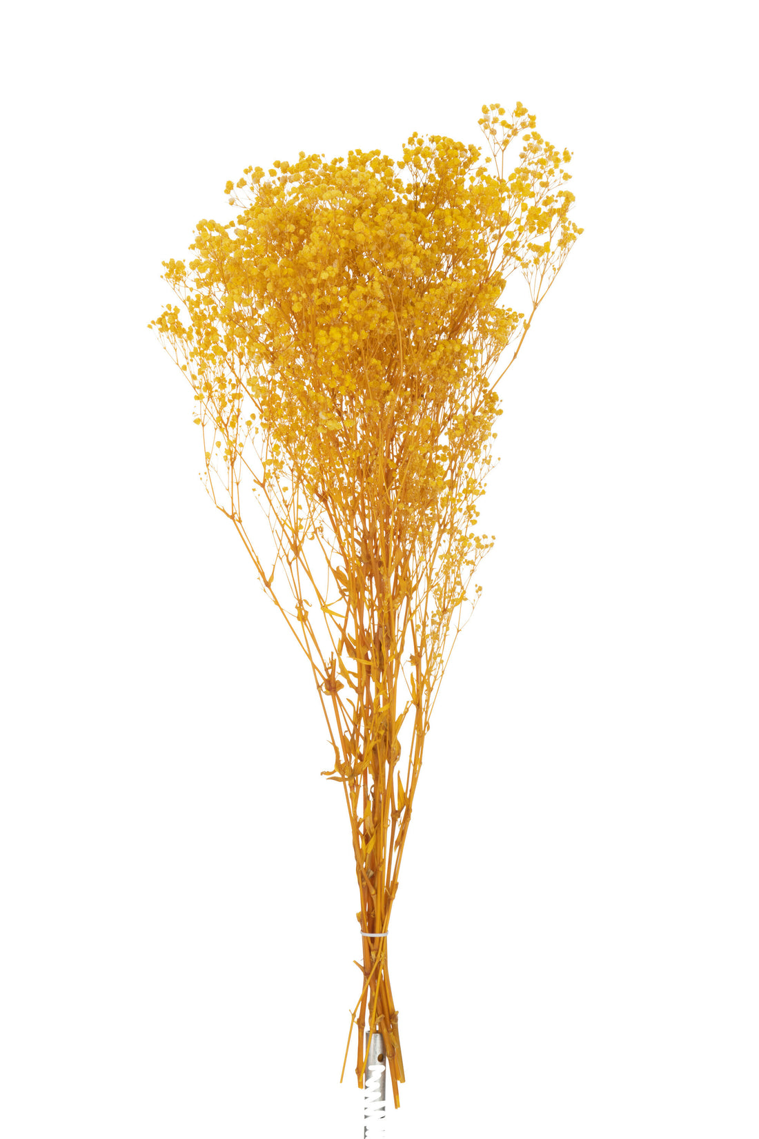 J-Line Bundel Gedroogde Gypsophilia Geel