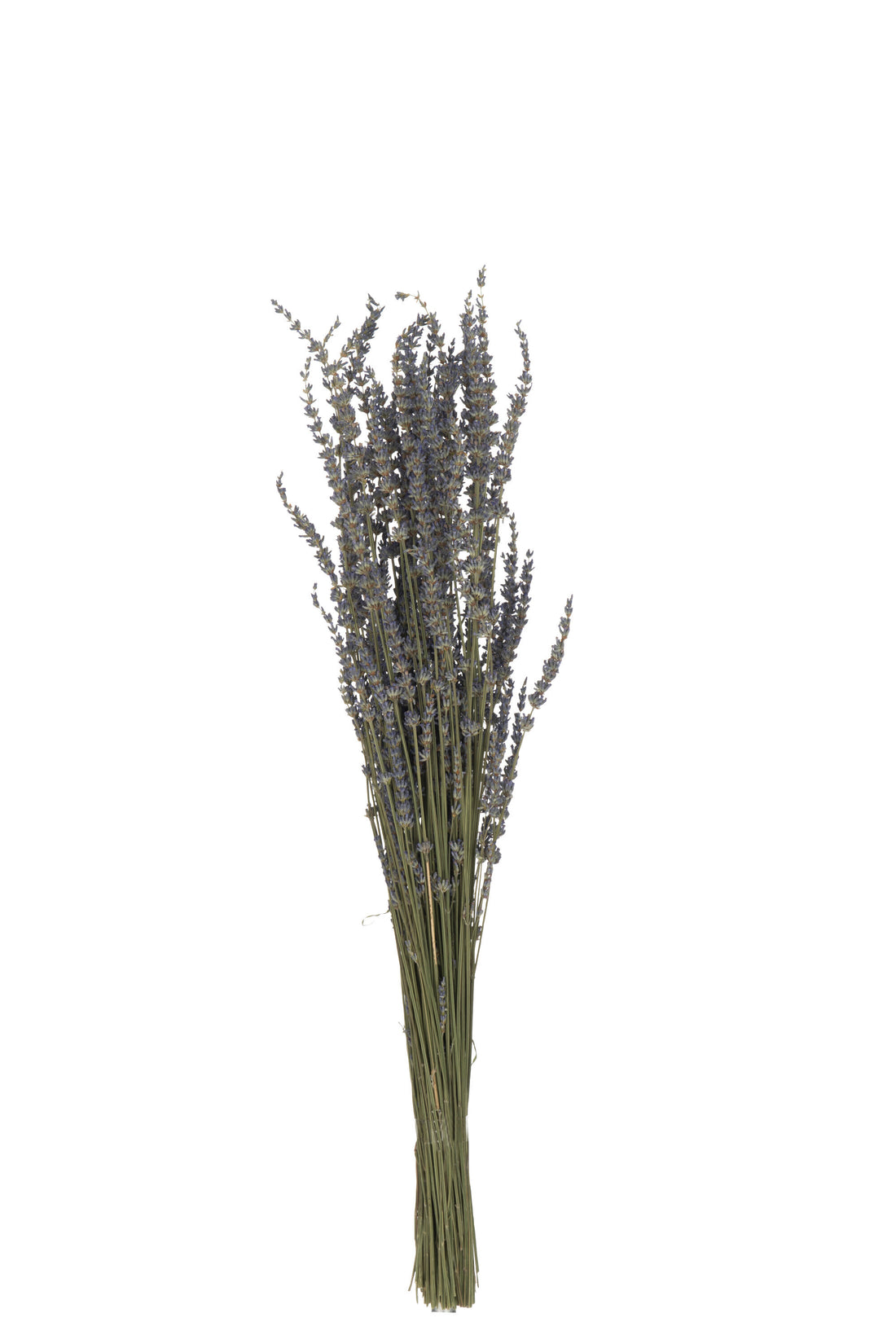 J-Line Bundel Gedroogde Lavendel Paars