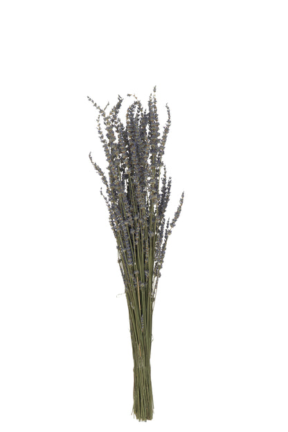 J-Line Bundel Gedroogde Lavendel Paars