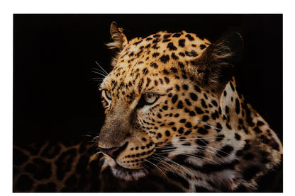 Wanddecoratie Luipaard Gehard Glas Mix