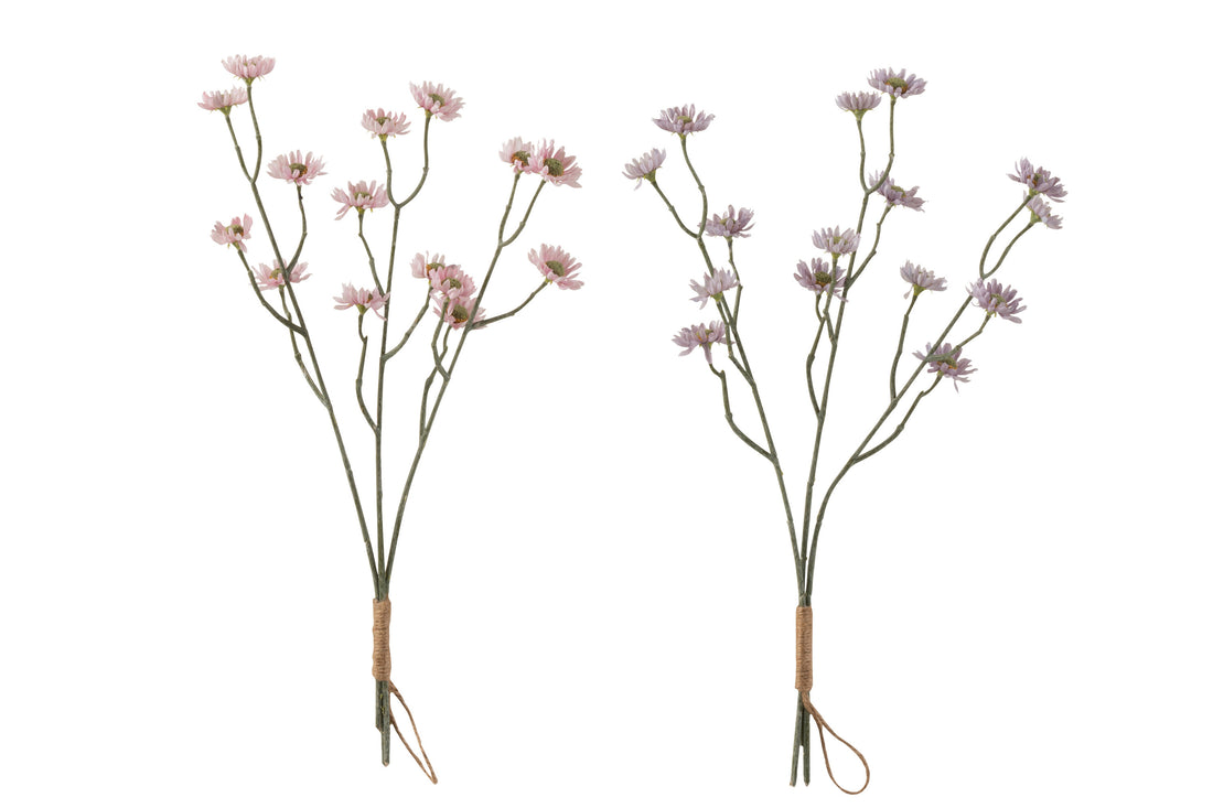 Bundel Aster Plastic Paars/Roze Assortiment Van 2