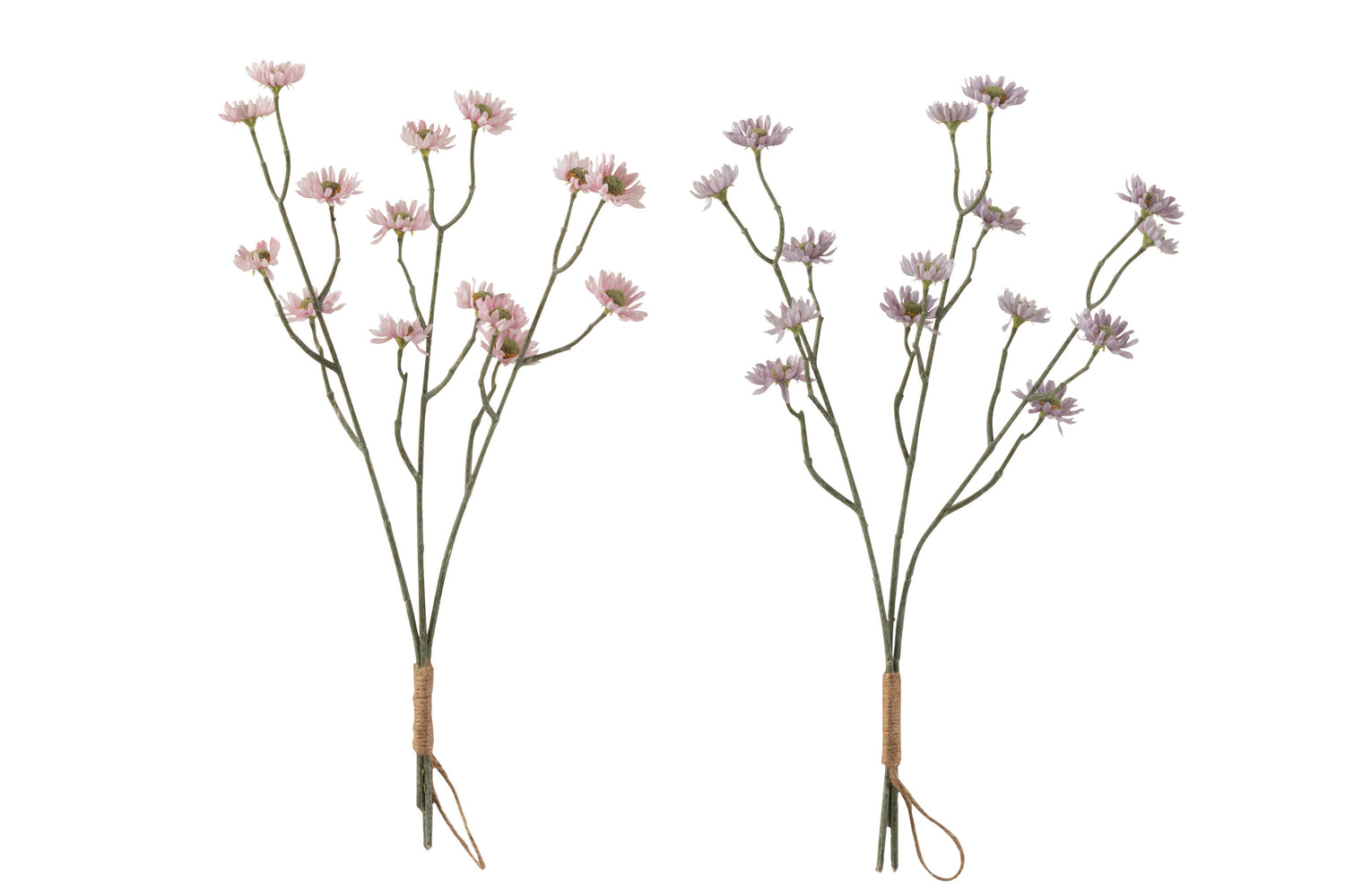 Bundel Aster Plastic Paars/Roze Assortiment Van 2