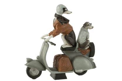 J-Line Honden Op Scooter Poly Mix Large