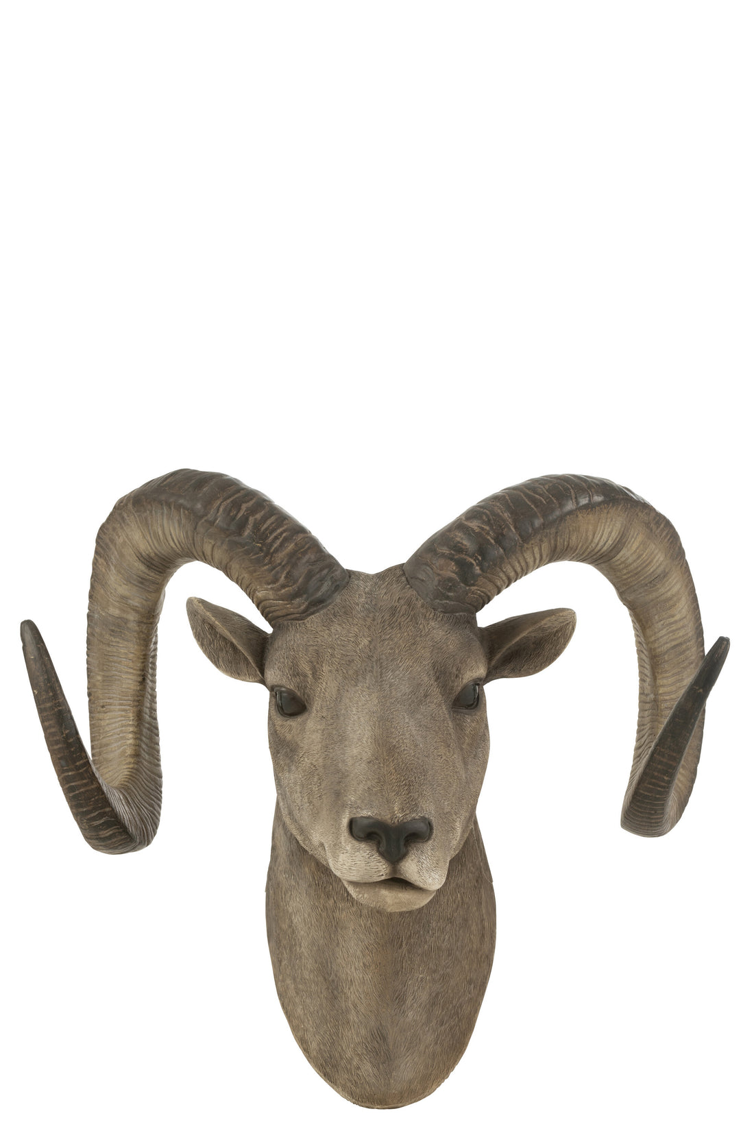 Geitenkop Poly Grijs