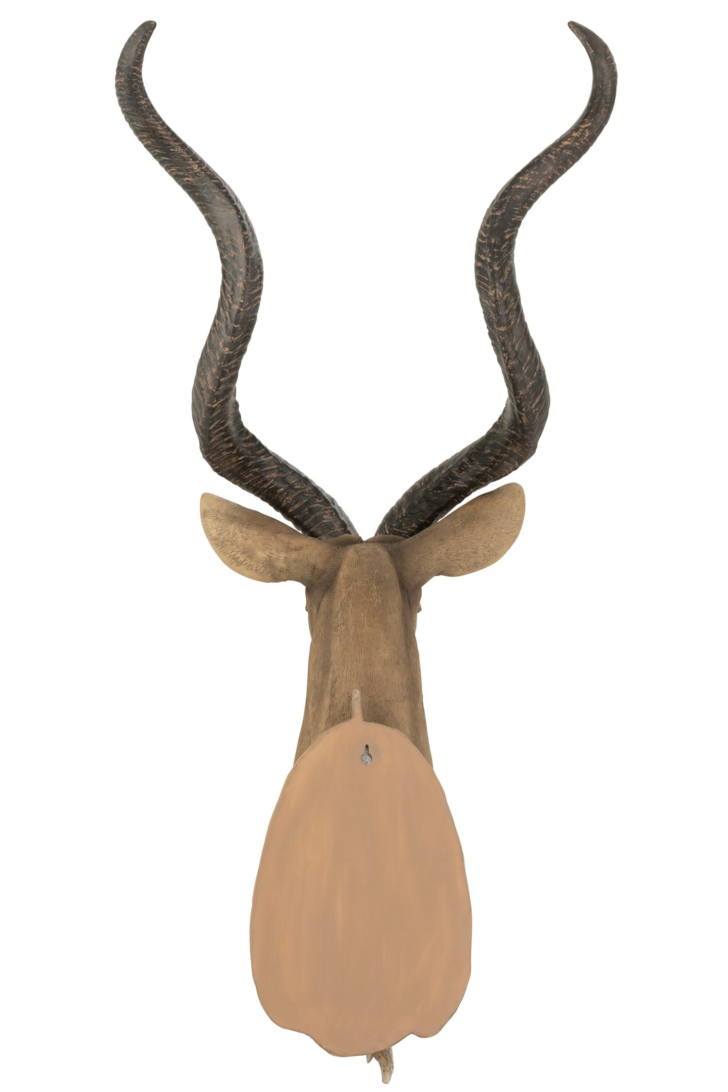 Antilopekop Poly Bruin