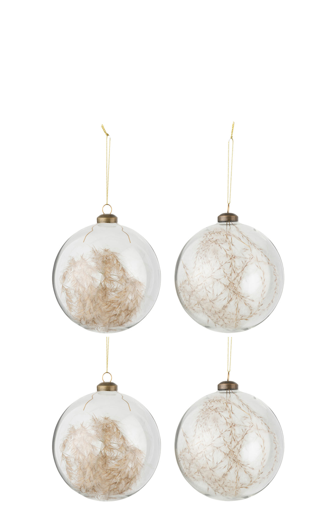 J-Line Doos met 4 kerstballen Ronde bol 2+2 Gedroogde Pampas Glas Transparant Groot