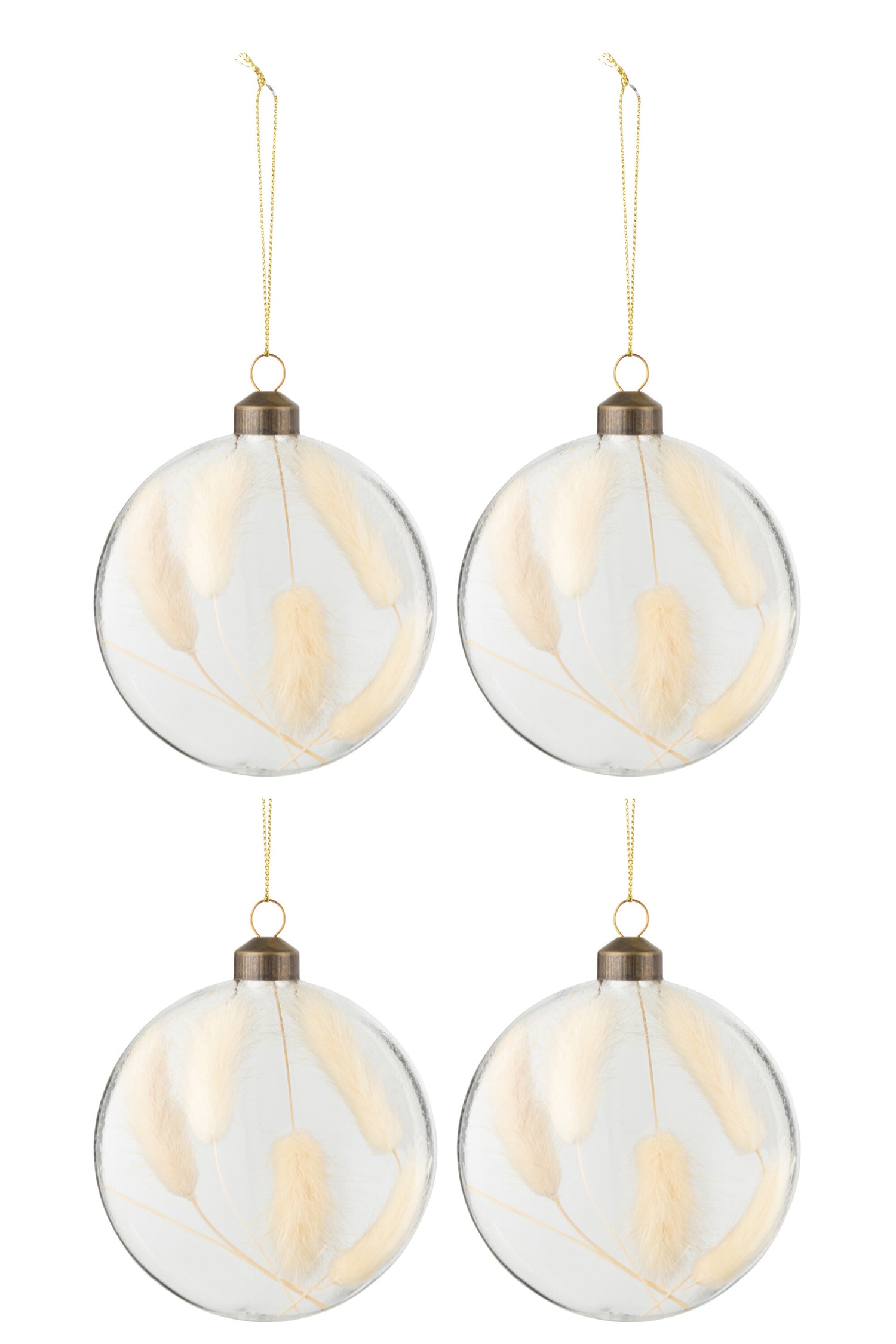J-Line Box Of 4 Christmas Baubles Round Flat Dried Haretail Beige Transparent Medium