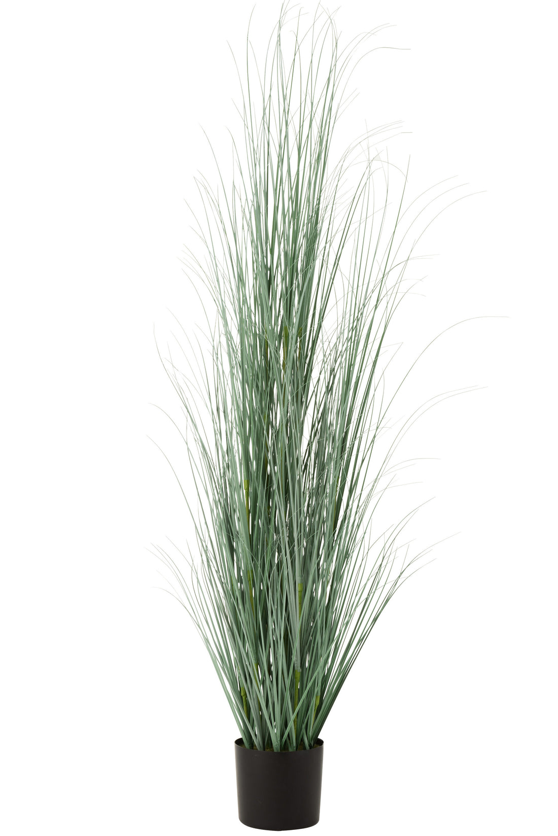 Grassen in pot plastic blauw/groen extra groot