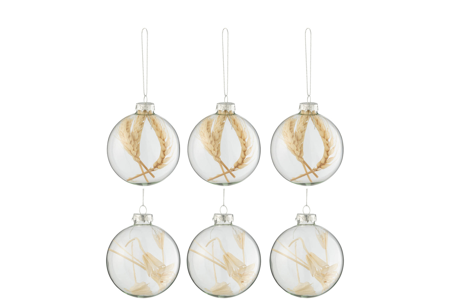 J-Line Doos met 6 kerstballen 3+3 gedroogde takken Beige glas transparant klein