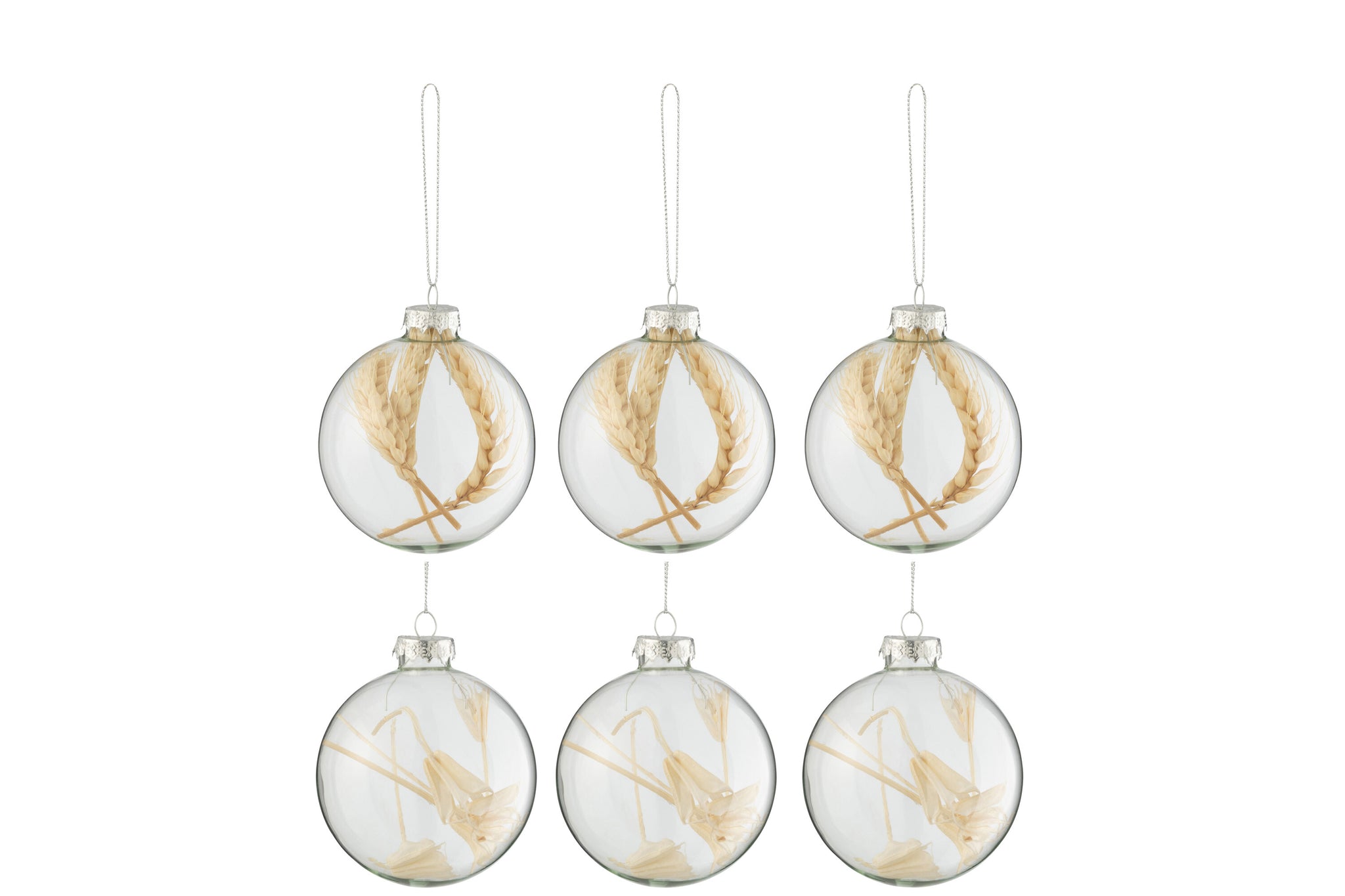 J-Line Doos met 6 kerstballen 3+3 gedroogde takken Beige glas transparant klein