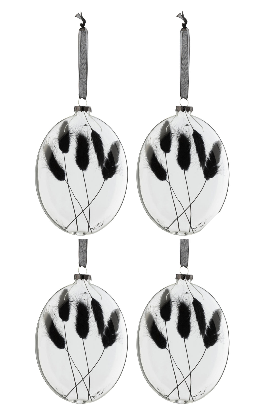 J-Line Box Of 4 Christmas Baubles Oval Flat Dried Haretail Black Glass Transparent Large