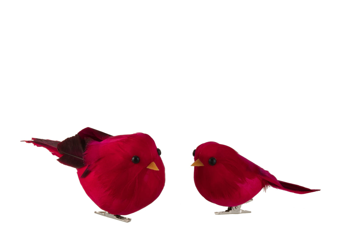 Vogels met clip Polyfoam/veren Donkerrood Groot