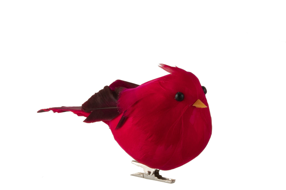 Vogels met clip Polyfoam/veren Donkerrood Groot