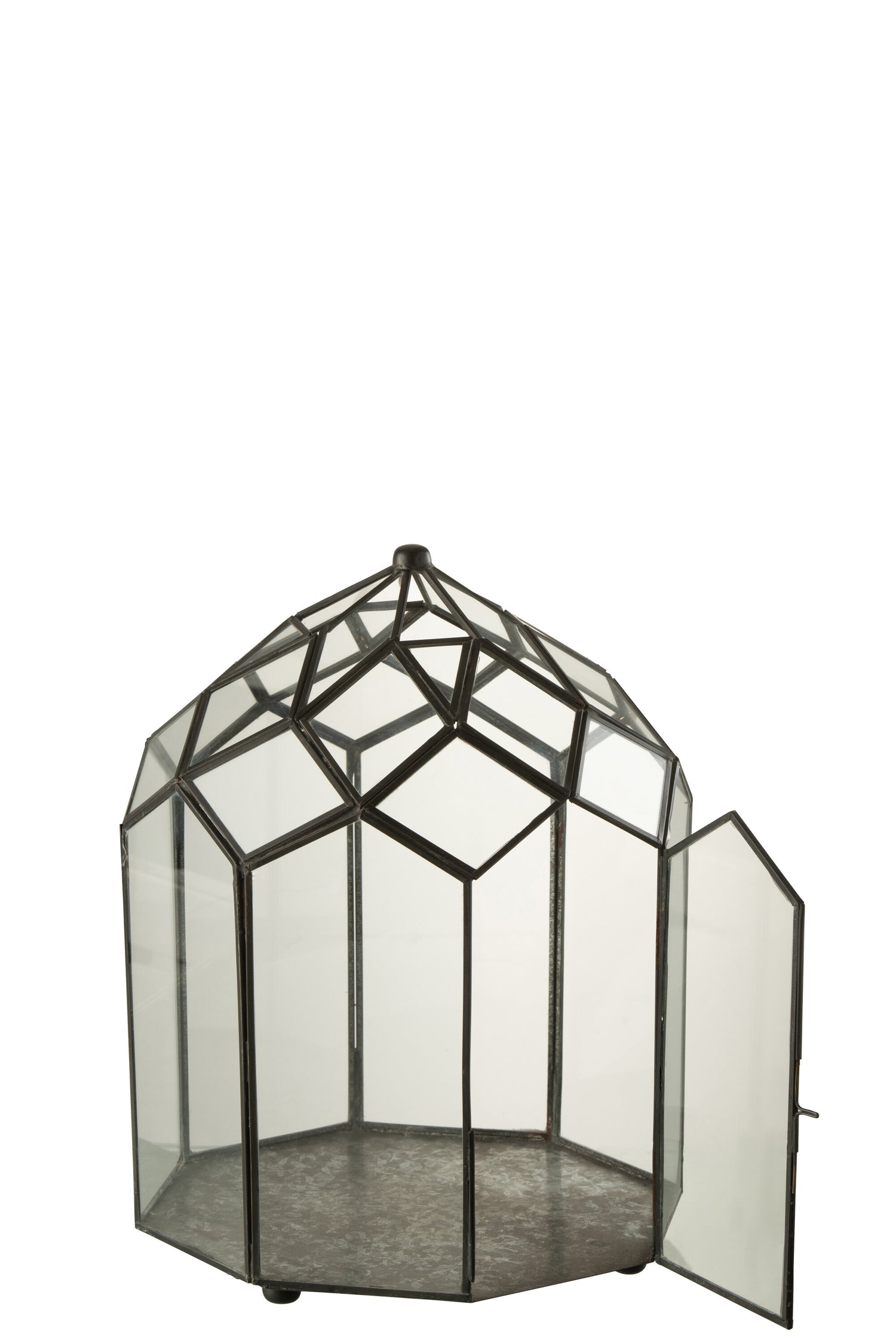 Terrarium Glas/Metaal Zwart Medium