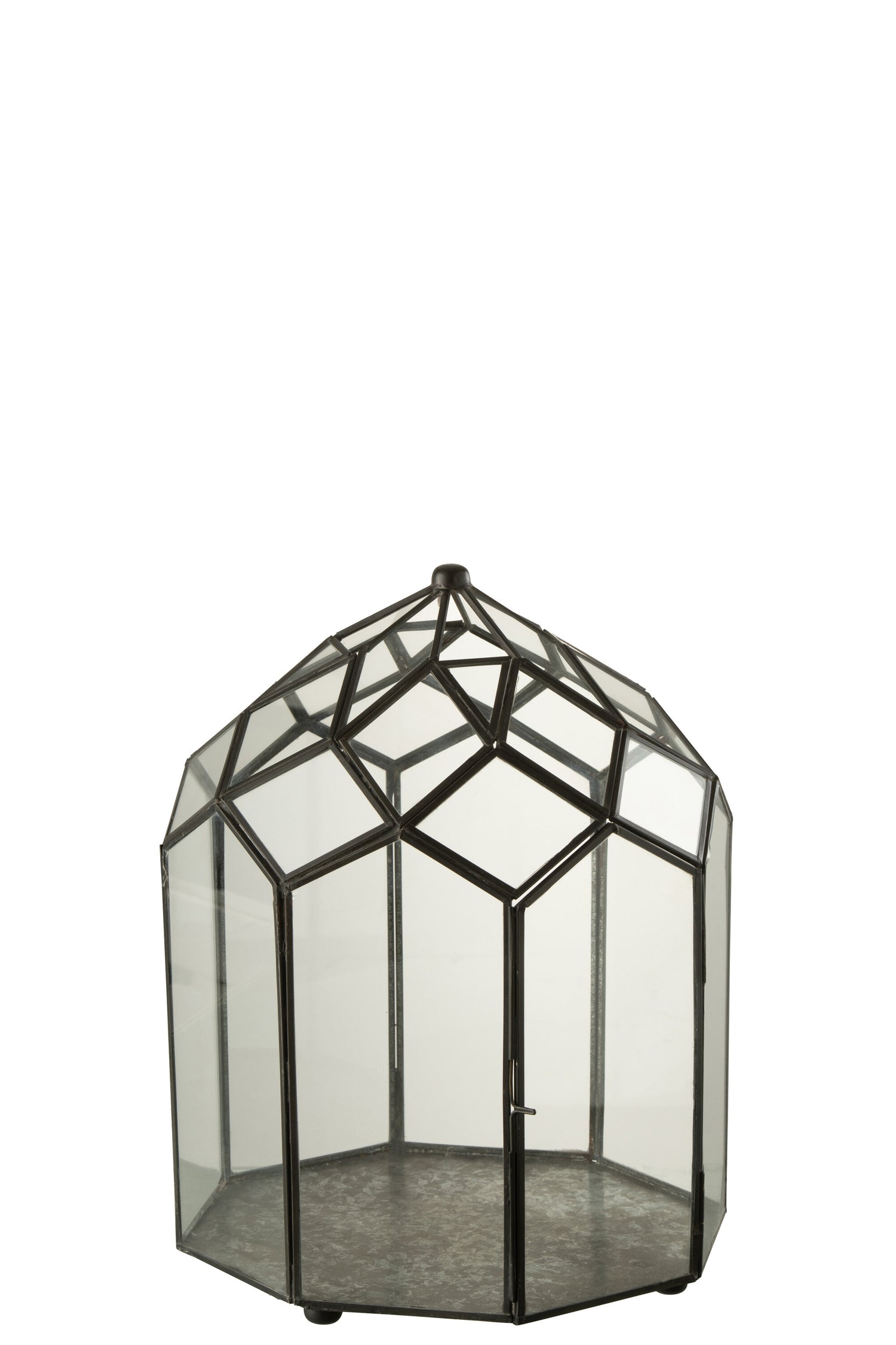 Terrarium Glas/Metaal Zwart Medium
